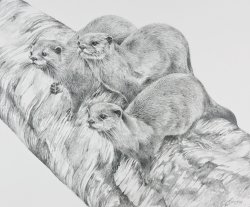 Three of a Kind